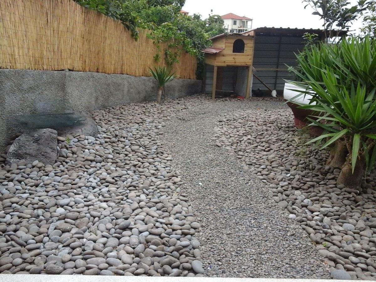 Cottage Quinze, Contemporary Designed Cottage With Swimming Pool Ponta Delgada  Ngoại thất bức ảnh