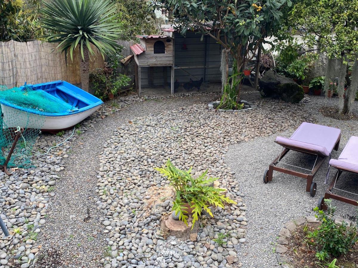Cottage Quinze, Contemporary Designed Cottage With Swimming Pool Ponta Delgada  Ngoại thất bức ảnh